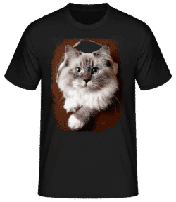 Un Chat Regarde Par Un Judas - T-shirt standard Homme - Noir - Devant